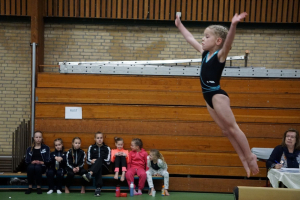 wedstrijd instap 2017