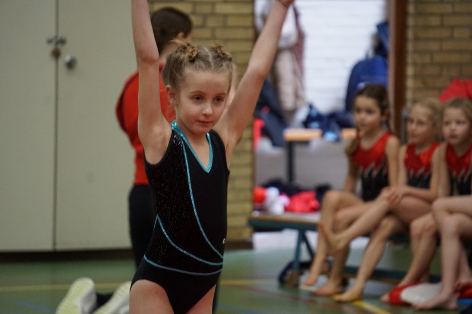 wedstrijd instap 2017