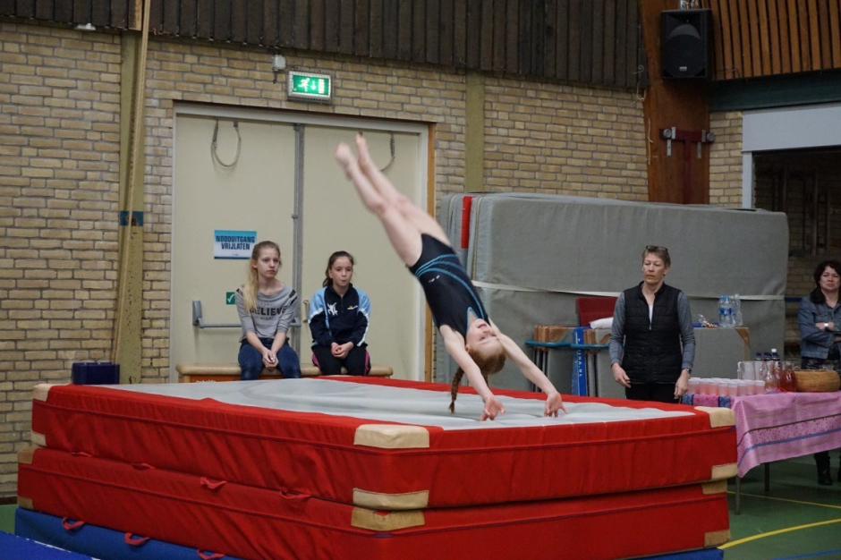 wedstrijd instap 2017