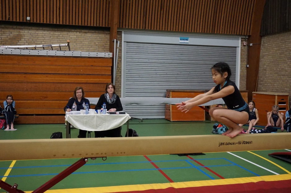 wedstrijd instap 2017