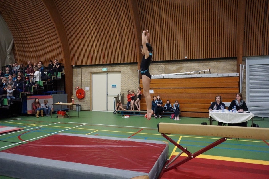 wedstrijd instap 2017